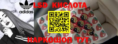 МДПВ Новодвинск