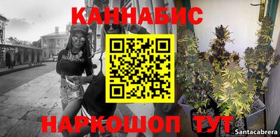 МДПВ Новодвинск