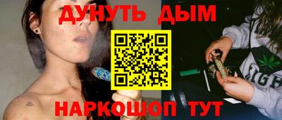 МДПВ Новодвинск