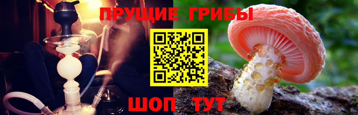 Псилоцибиновые грибы мицелий Тамбов